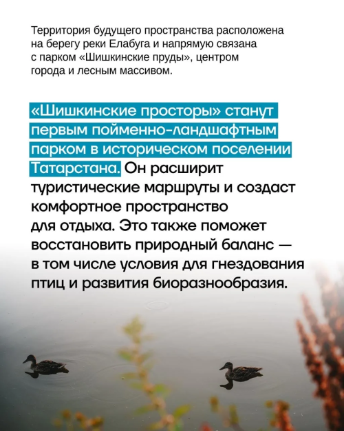 В Елабуге появится пойменный парк — «Шишкинские просторы»
