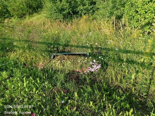 В Елабуге сбросили цветочные вазоны с моста на улице Строителей
