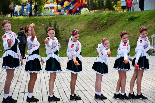 В Елабуге прошел фестиваль труда и доблести