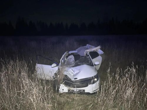 В Елабужском районе пассажирка погибла после наезда автомобиля на лося
