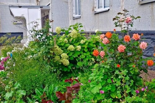 В Елабуге поблагодарили горожанок за уют и красоту во дворах