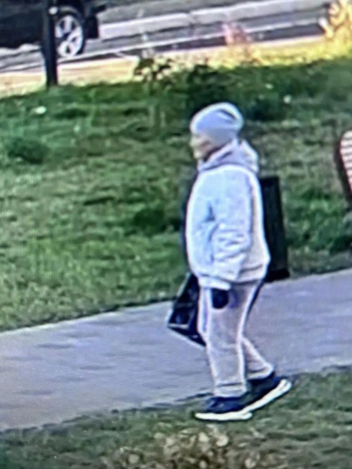 Елабужанка заплатит штраф за воровство цветов в сквере