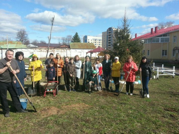 В Елабужском детском доме прошла акция «День посадки леса»