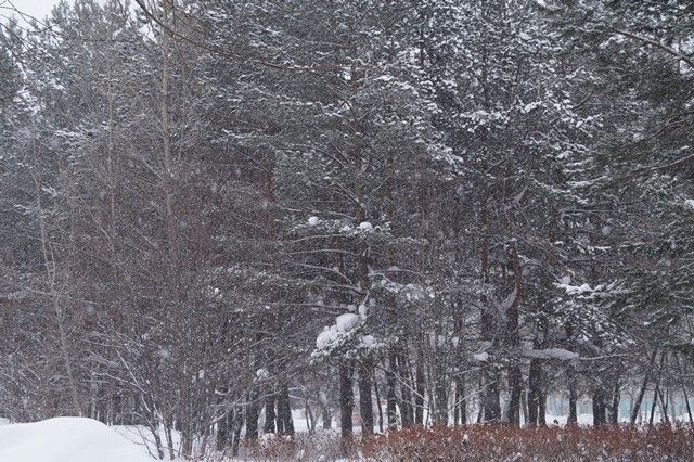 Гидрометцентр РТ: Снегопады в Татарстане продлятся три дня