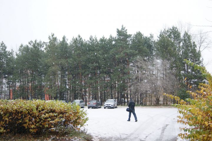 Эксперт КФУ рассказал, ждать ли татарстанцам снега