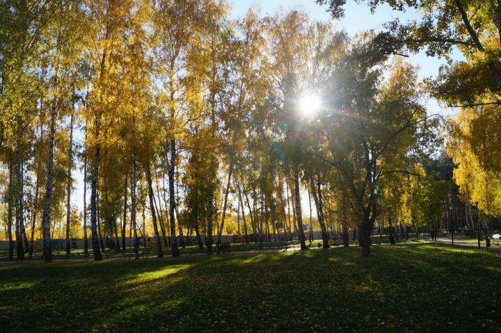 Стало известно, сколько продлится аномально теплая погода в Татарстане