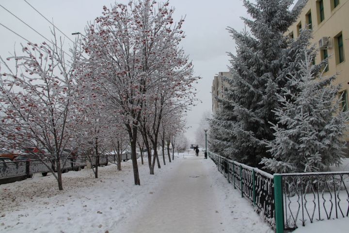 Погода в Елабуге на 21 декабря