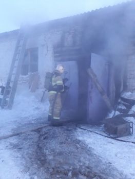 Восемь телят спасли из пожара на ферме в Елабужском районе