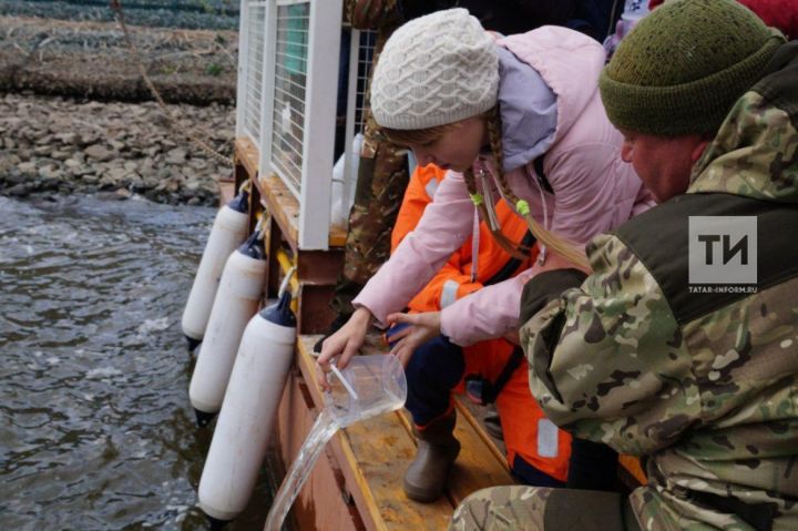 Более двух сотен мальков стерляди выпустили дети в реку под Свияжском