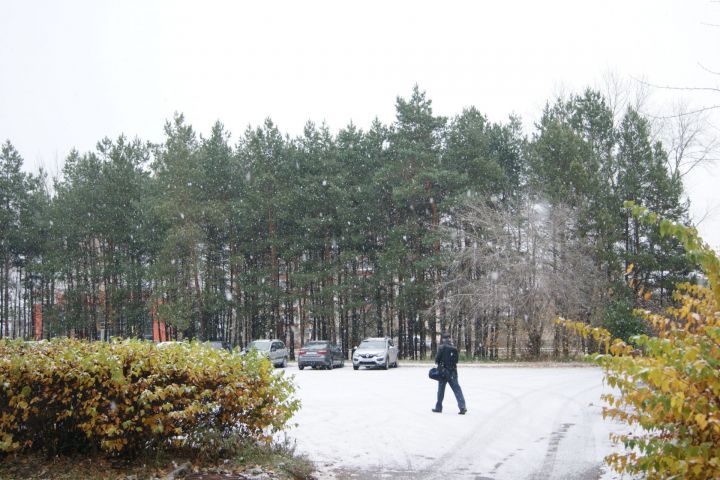 Синоптики Татарстана предупреждают о снеге и метели