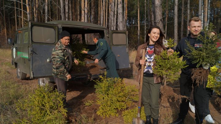Сотрудники Kastamonu высадили 1500 деревьев в лесных хозяйствах Татарстана