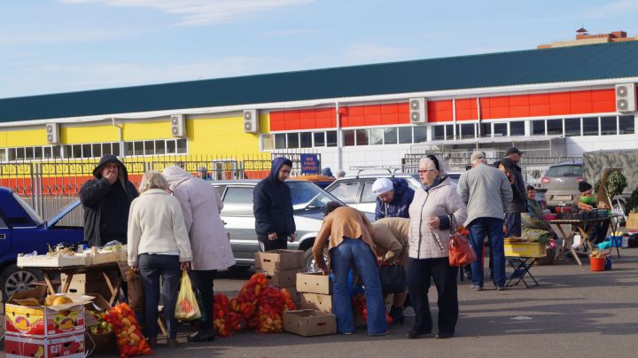 Елабужским пенсионерам овощи с ярмарки доставляют домой бесплатно