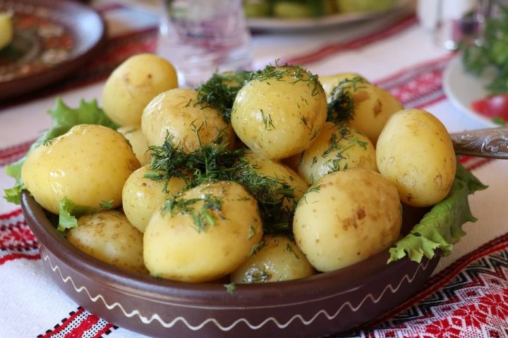 Не так страшен картофель, как его малюют: польза и вред картофеля для здоровья