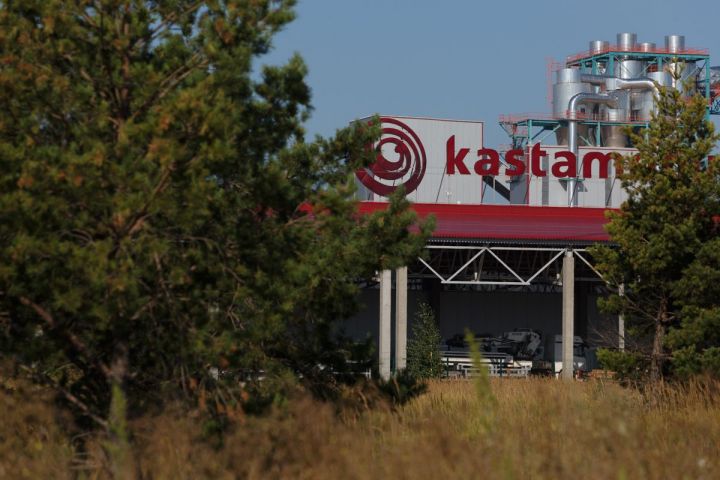 KASTAMONU направила на природоохранные мероприятия более 50 млн руб