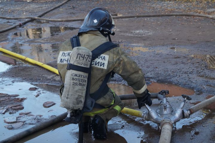 В Елабужском районе на ходу загорелся автомобиль