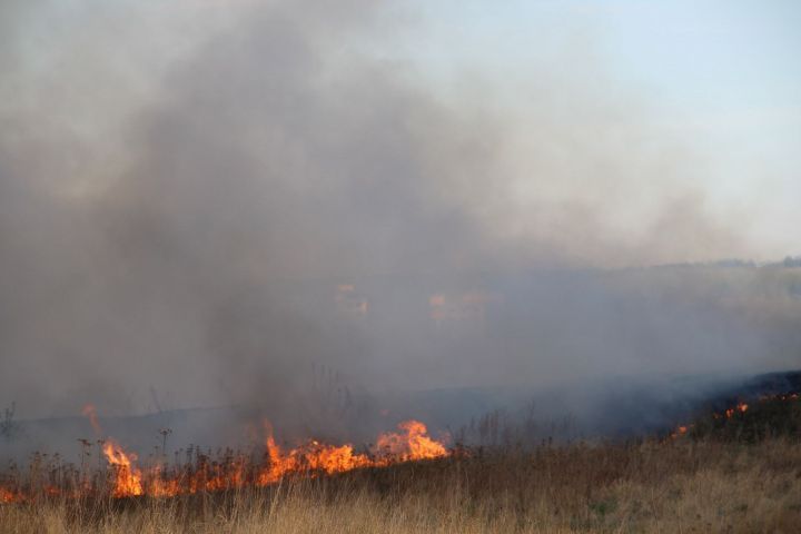 МЧС: за неделю поступило 5 сообщений о горении травы в Елабужском районе