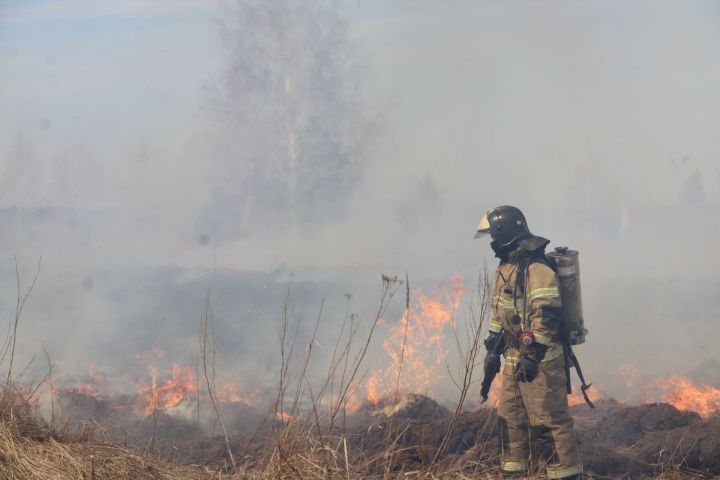 За сутки в Елабуге зарегистрировано 4 случая возгорания сухой травы