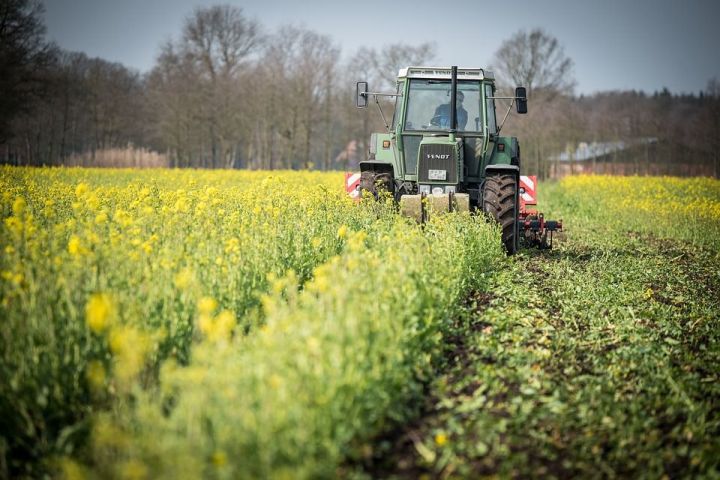 В Татарстане сельскохозяйственные потребкооперативы получат гранты на 75 млн рублей