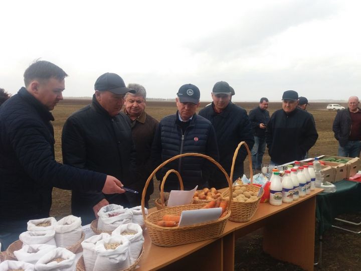 Министр сельского хозяйства РТ дал оценку ходу посевных работ в Елабужском районе