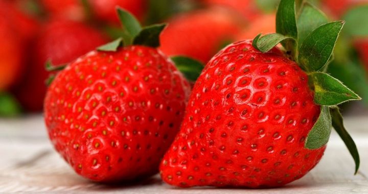 Почем продают ягоды на рынках Елабуги