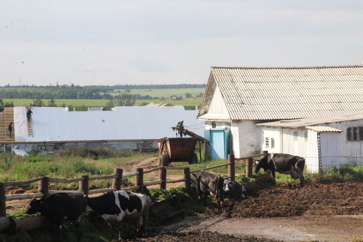 В Татарстане фермеры получат гранты на общую сумму более 300 млн рублей