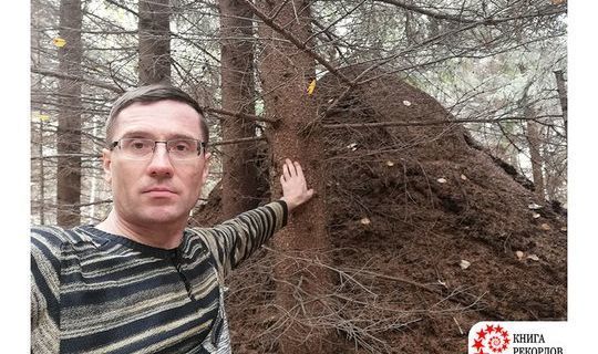 Журналист ИА «Татар-информ» попал в книгу рекордов России с муравейником