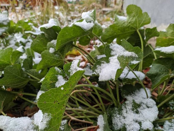 В начале ноября в Татарстане ожидаются мокрый снег и 6 градусов выше нуля