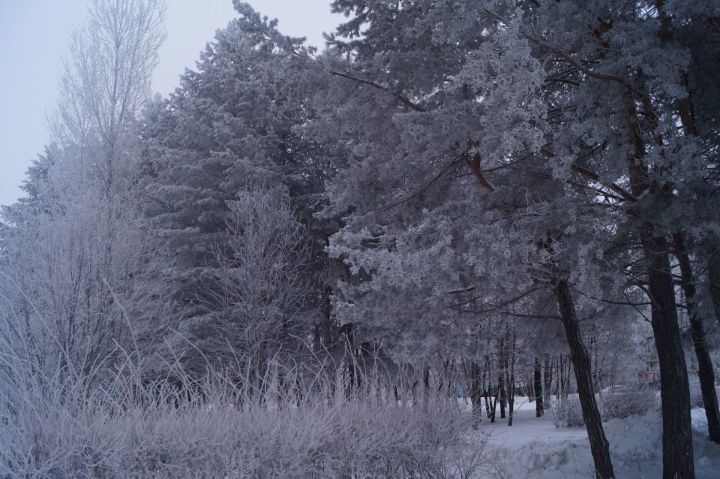 Профессор КФУ рассказал о погоде в Татарстане предстоящей зимой