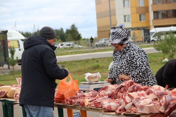 В Елабуге продолжаются сельхозярмарки