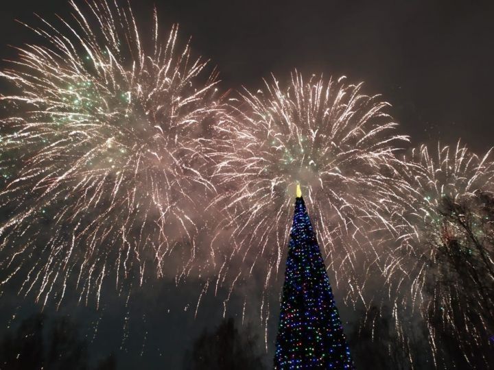 Россиянам рекомендовали провести новогодние праздники дома
