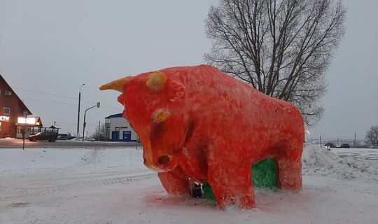 В Зеленодольске установили самую большую снежную фигуру быка в Татарстане