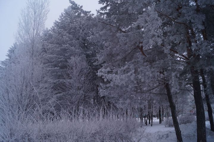 11 февраля по народным приметам считается неблагоприятным