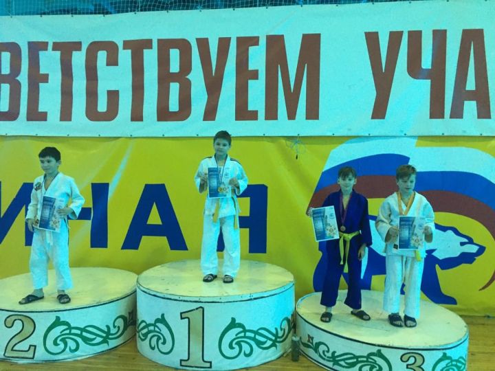 В Елабуге прошел турнир по дзюдо, посвященный дню защитников Отечества
