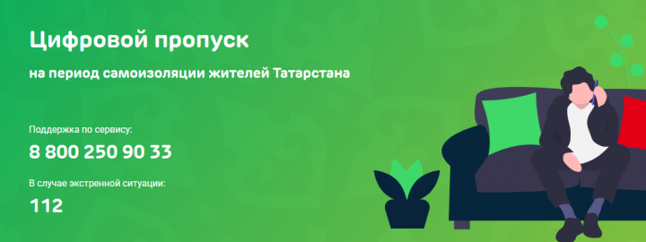 В Татарстане упростили систему получения цифровых пропусков в период самоизоляции