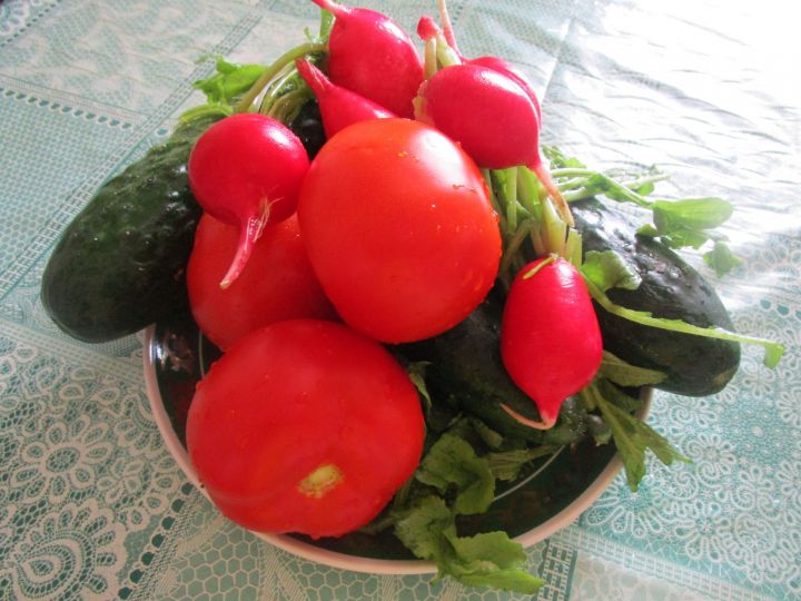 Жители Елабуги могут пожаловаться на качество фруктов и овощей