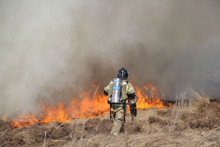 В Елабужском районе пожаром уничтожены 4 садовых домика