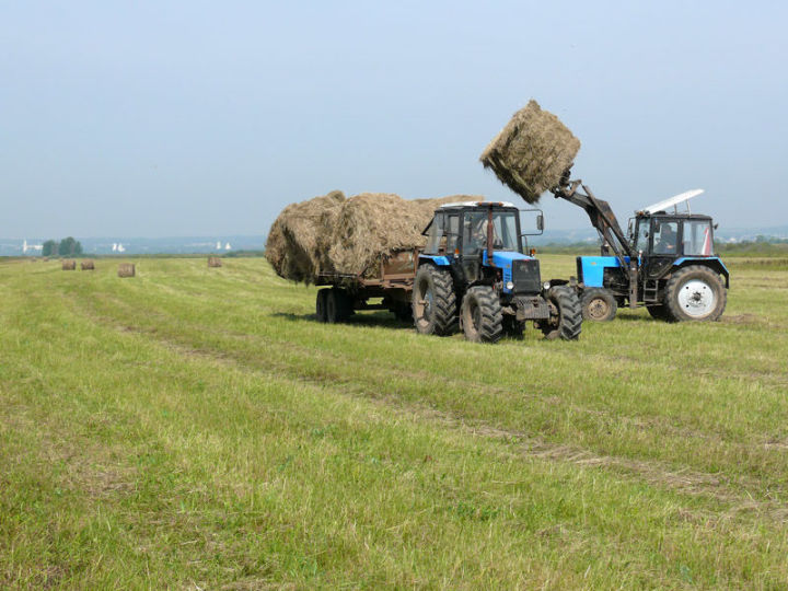 Сельхозпредприятия Елабужского района готовятся к заготовке кормов