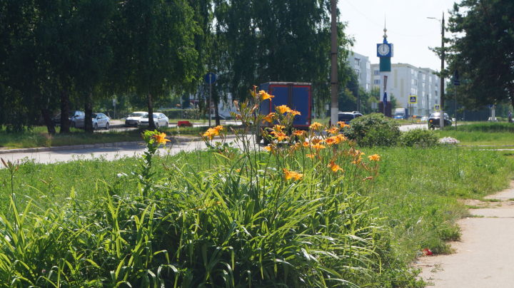 Синоптики прогнозируют похолодание в Татарстане
