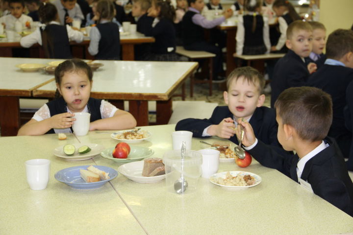 Елабужане могут пожаловаться на качество школьного питания