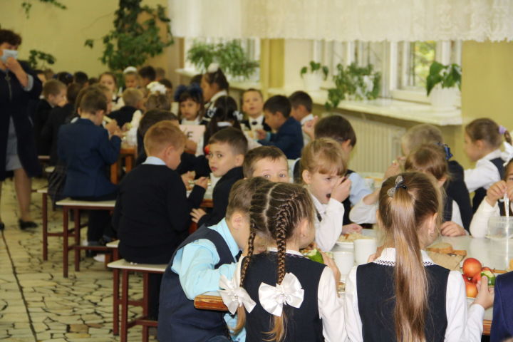 Корреспондент НК выяснил, чем будут кормить елабужских школьников