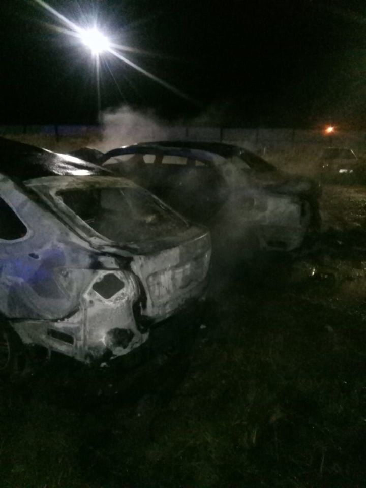 В Елабуге ночью сгорели два автомобиля