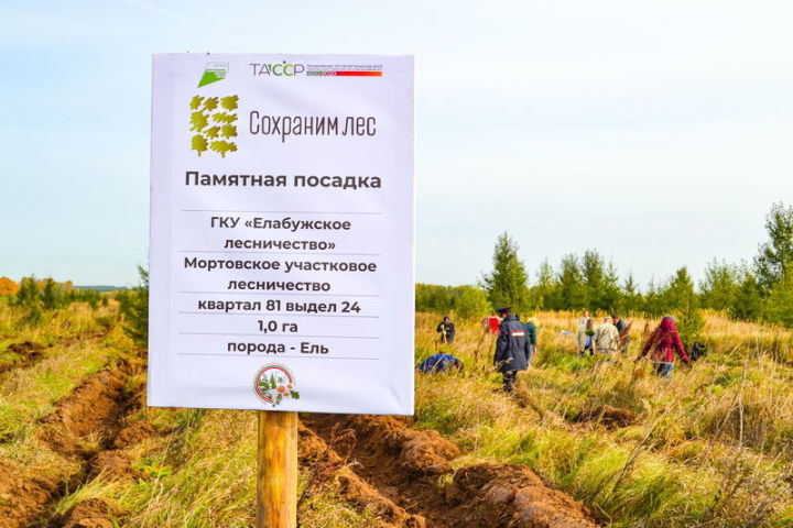 Полицейские и общественники Елабуги приняли участие в акции «Сохраним лес»
