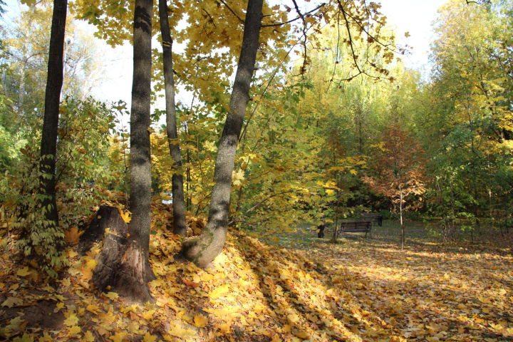 1 октября в Татарстане ожидается сухая и теплая погода
