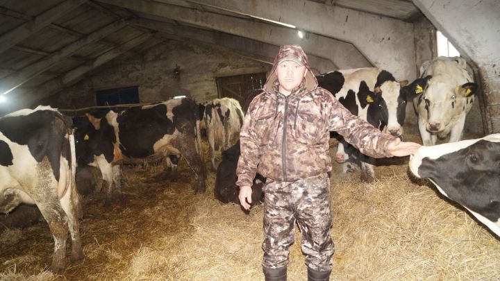 Елабужский фермер получил грант на развитие молочного производства