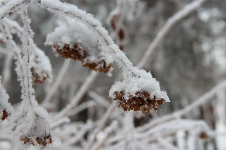 24 февраля в Татарстане ожидается до 24 градусов мороза