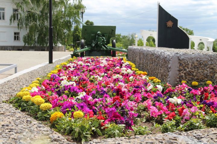 В этом году в Елабуге высадят 200 тысяч цветов