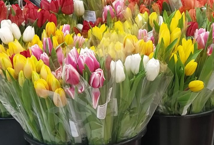 Скоро 8 Марта: сколько будут стоить цветы в Елабуге