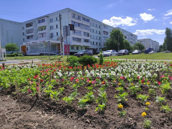 В Елабуге этим летом появятся 42 цветника