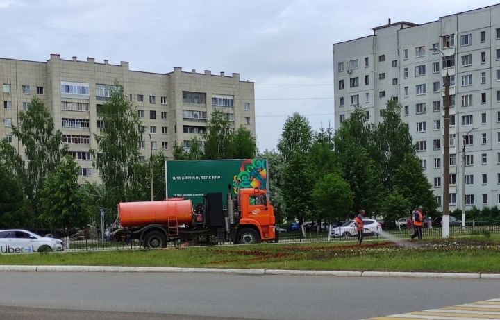 Глава Елабужского района поручил коммунальщикам круглосуточно поливать деревья и цветы
