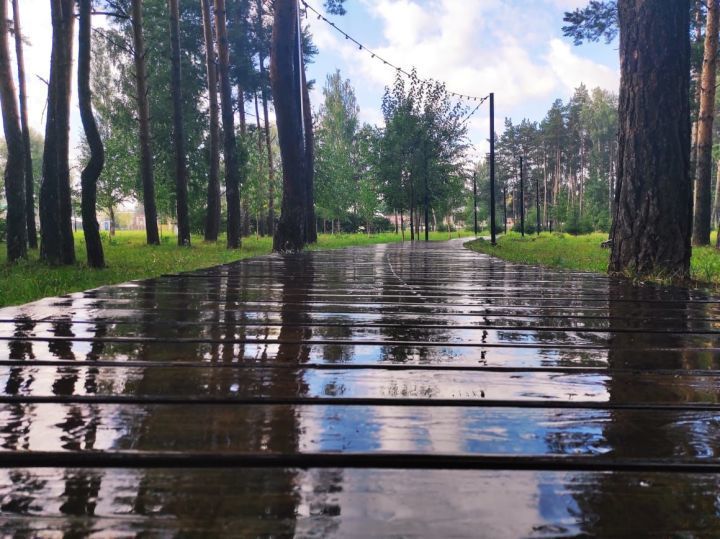 В Татарстане в выходные ожидаются дожди, грозы и град